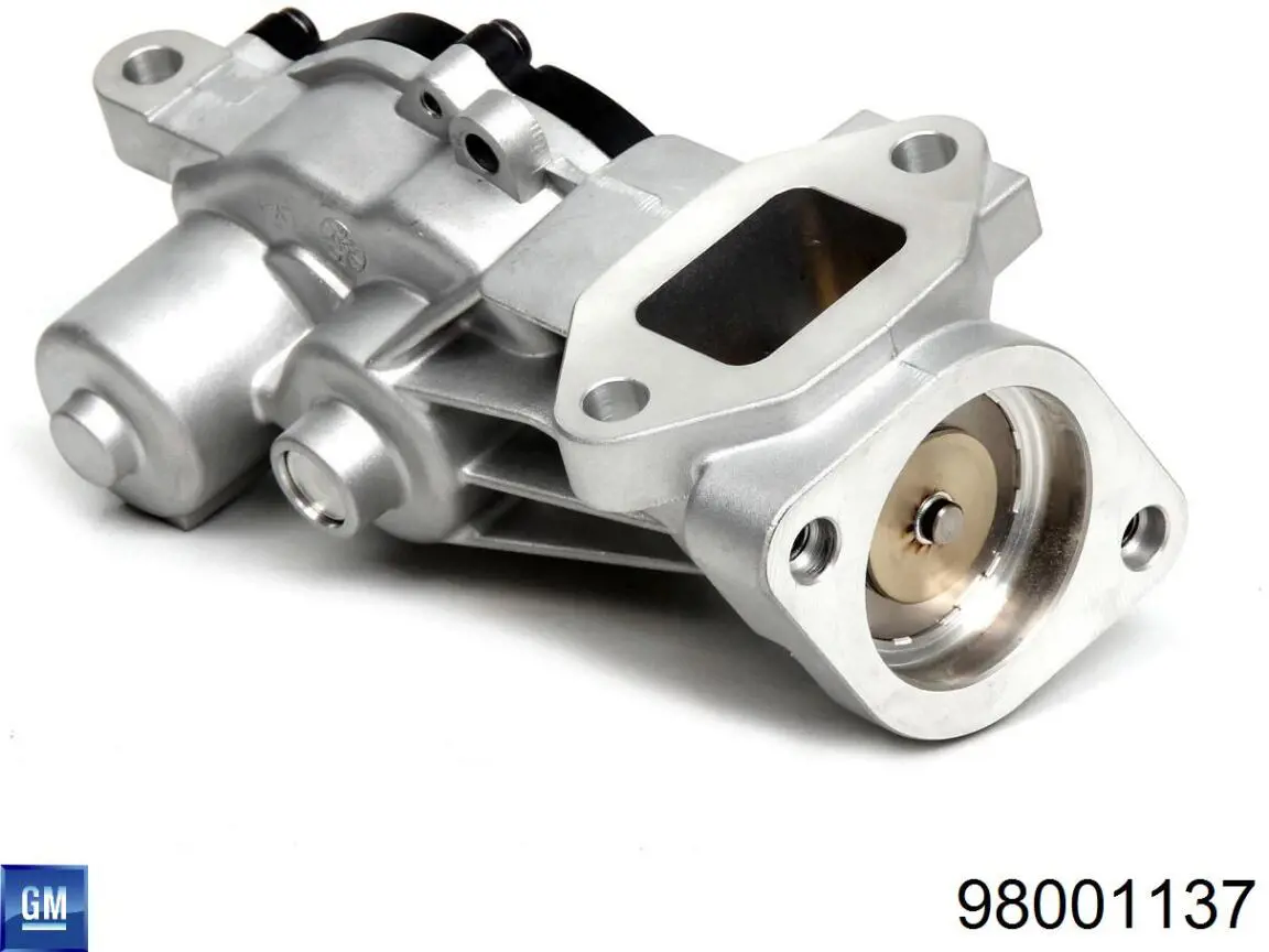 Do koszyka 98001137 General Motors Uszczelka zaworu recyrkulacji EGR