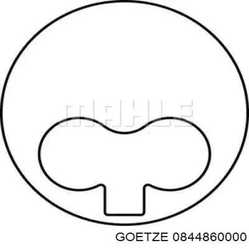 Do koszyka 792454004 SM Zestaw pierścieni tłokowych do silnika, STD