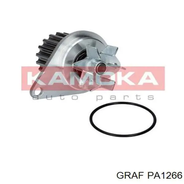 PA1266 Graf pompa chłodząca wodna