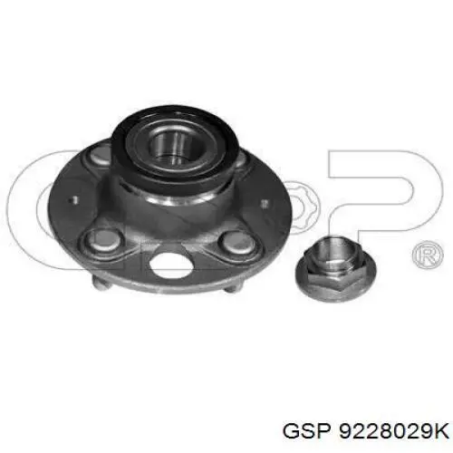 9228029K GSP Piasta tylna