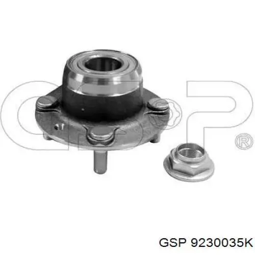 Piasta tylna SNR R18902 cena, od 42,97 USD