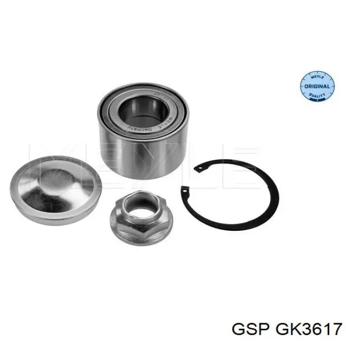 GK3617 GSP Tarcza hamulcowa tylna