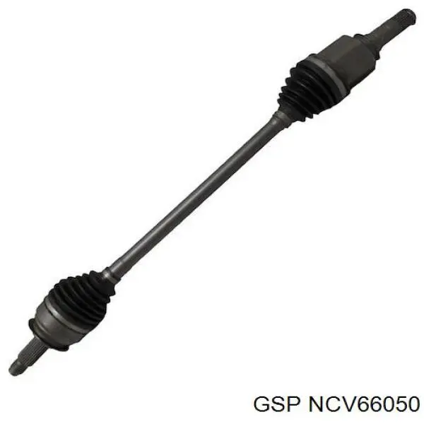 Do koszyka NCV66050 GSP 