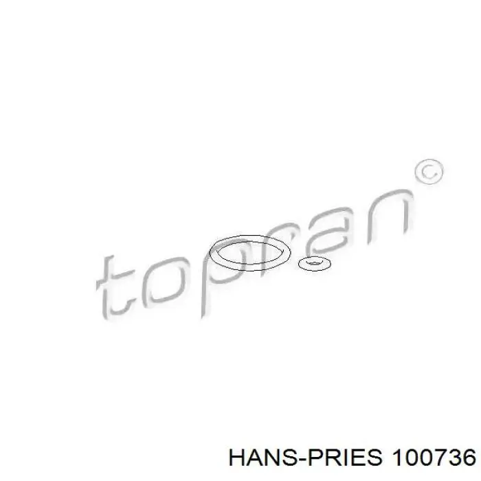 100736 Hans Pries (Topran) Uszczelka regulatora ciśnienia w listwie paliwowej (wtryskowej)