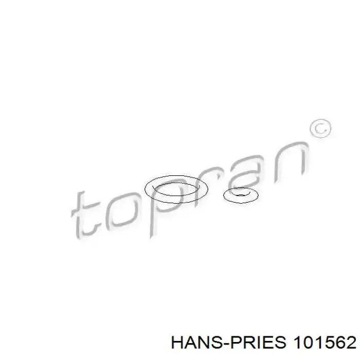 101562 Hans Pries (Topran) Pierścień uszczelniający wtryskiwacza