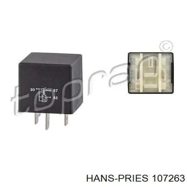 107263 Hans Pries (Topran) Przekaźnik pompy paliwa elektrycznej