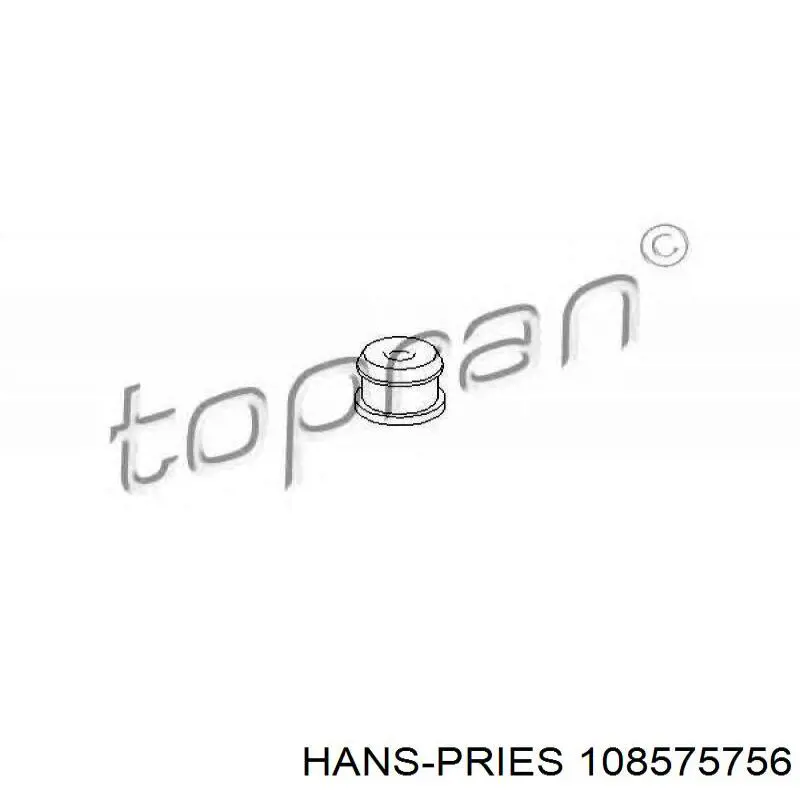108575756 Hans Pries (Topran) Pedał przyspieszenia (gazu)