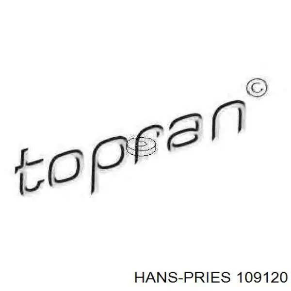 Tuleja mechanizmu zmiany biegów 109120 Hans Pries (Topran)