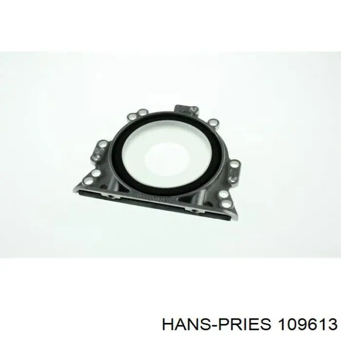 Uszczelniacz wału korbowego silnika tylny Hans Pries (Topran) 109613 cena, od 22,03 USD