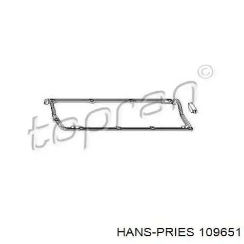 109651 Hans Pries (Topran) uszczelka pokrywy zaworowej silnika