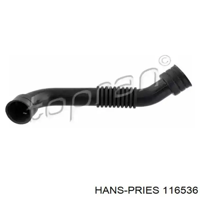 Króciec wentylacji kadłuba (separatora oleju) VAG 038103493S cena, od 16,40 USD
