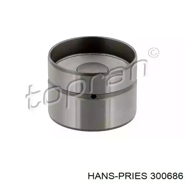 Kompensator hydrauliczny (popychacz hydrauliczny), popychacz zaworu Hans Pries (Topran) 300686 cena, od 13,11 USD