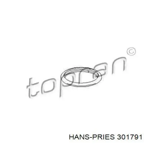 Do koszyka 301791 Hans Pries (Topran) Uszczelka termostatu