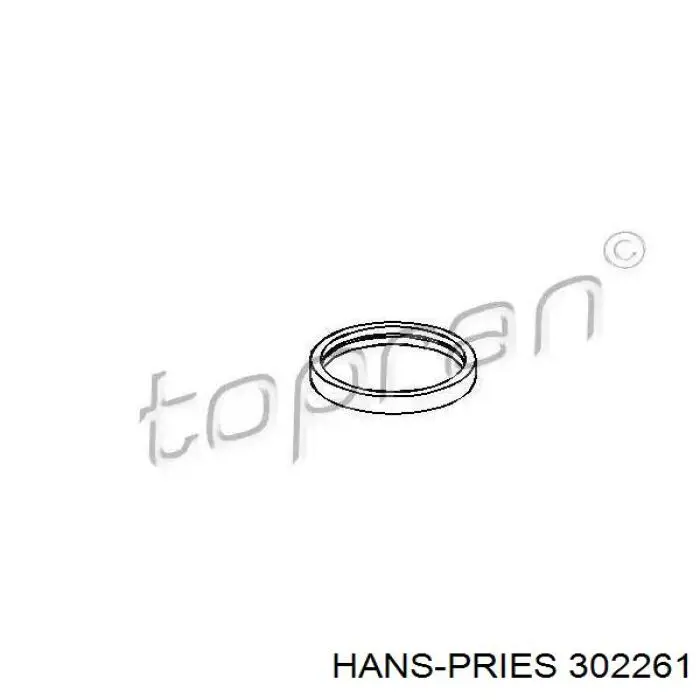 302261 Hans Pries (Topran) Uszczelka termostatu