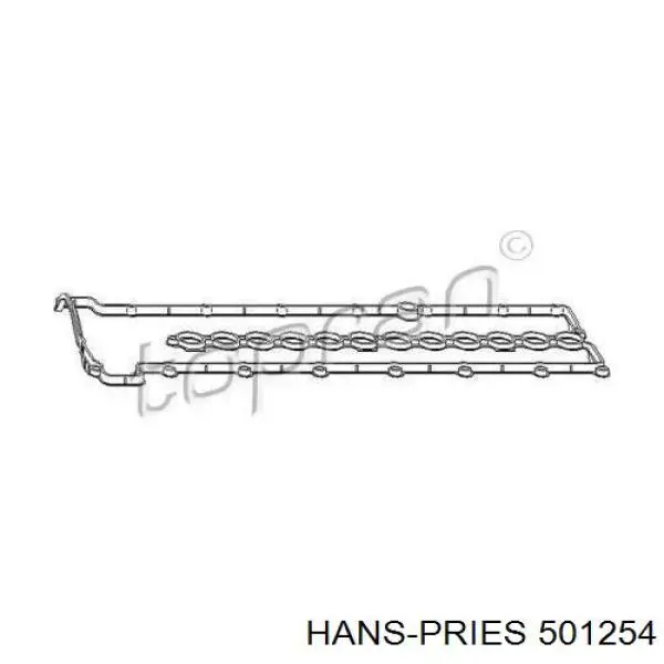 501254 Hans Pries (Topran) Uszczelka pokrywy zaworowej silnika