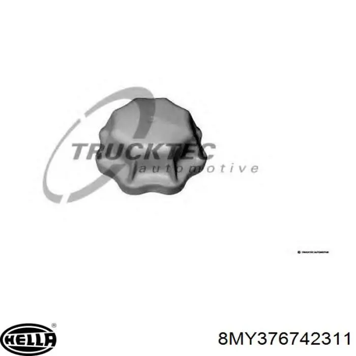 Pokrywa (korek) zbiornika wyrównawczego A0005016415 Mercedes