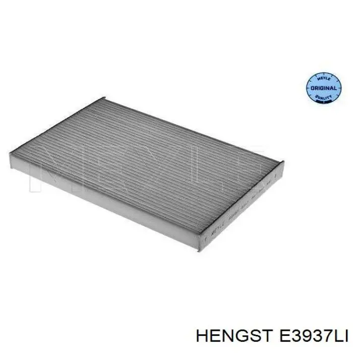 Filtr kabiny 7482499570 Renault (RVI)