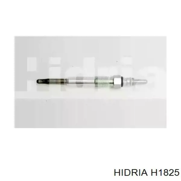 Do koszyka H1825 Hidria Świeca żarowa