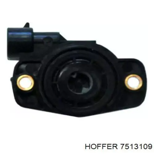 Czujnik położenia przepustnicy (potencjometr) Hoffer 7513109 cena, od 19,06 USD