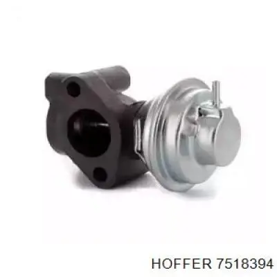 Zawór recyrkulacji spalin EGR do Hyundai Galloper  JK
