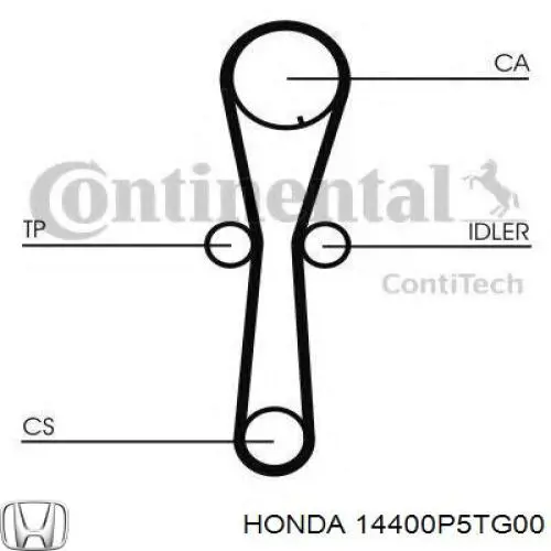 14400P5TG00 Honda pasek rozrządu