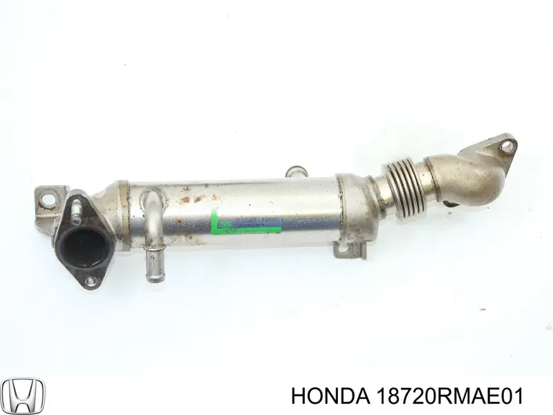 18720RMAE01 Honda Chłodnica układu recyrkulacji spalin EGR