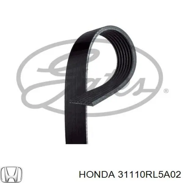 Pas napędowy mechanizmów 31110RL5A02 Honda