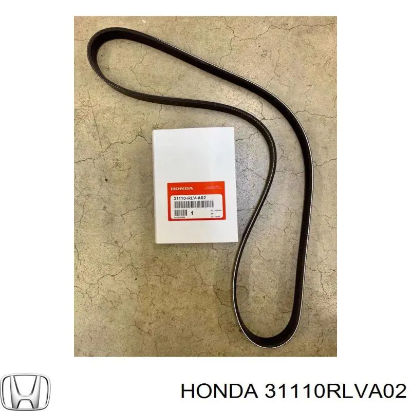 Do koszyka 31110RLVA02 Honda Pas napędowy mechanizmów