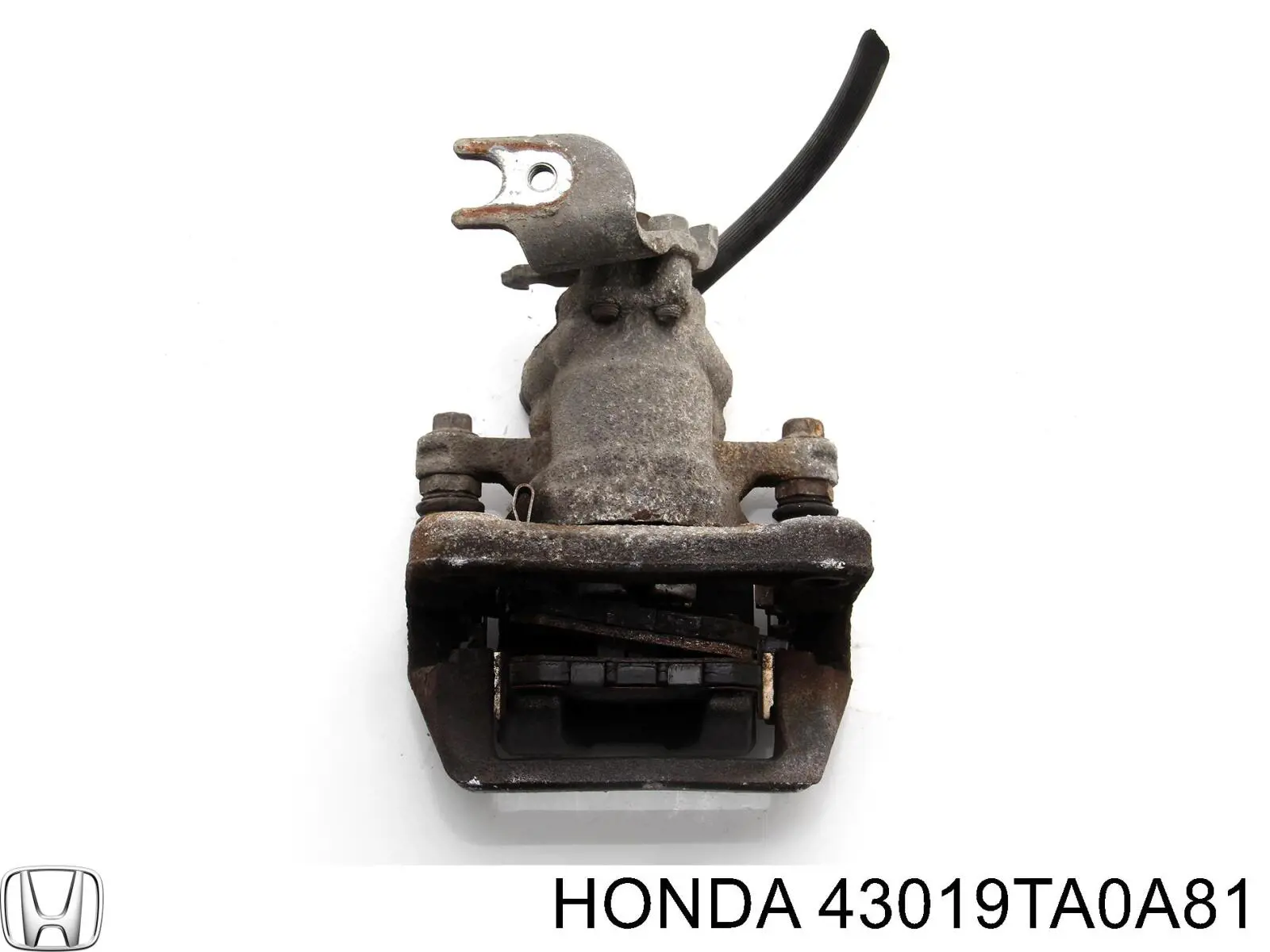 Do koszyka 43019TA0A81 Honda Zacisk hamulcowy tylny lewy