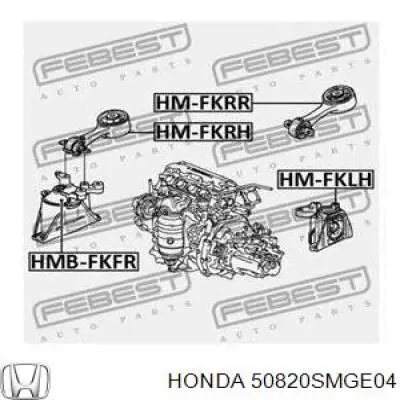 Poduszka (podpora) silnika przednia Honda 50820SMGE04 cena, od 113,57 USD