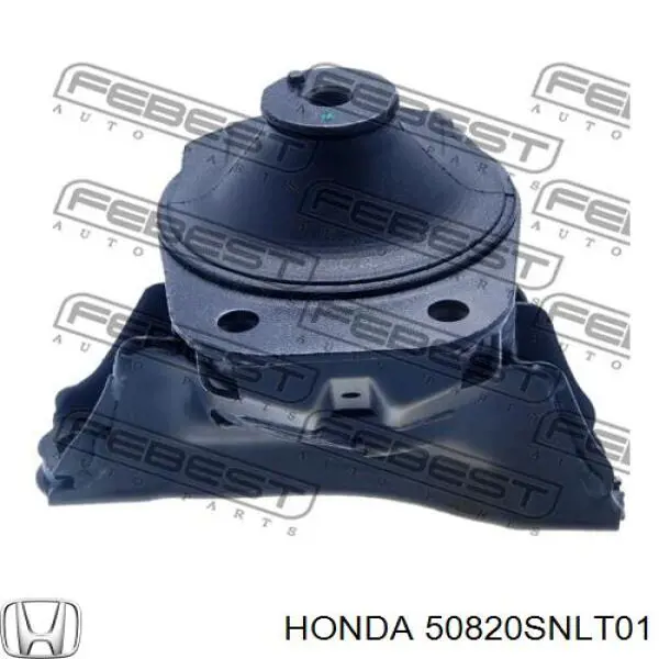 50820SNLT01 Honda Poduszka (podpora) silnika prawa dolna