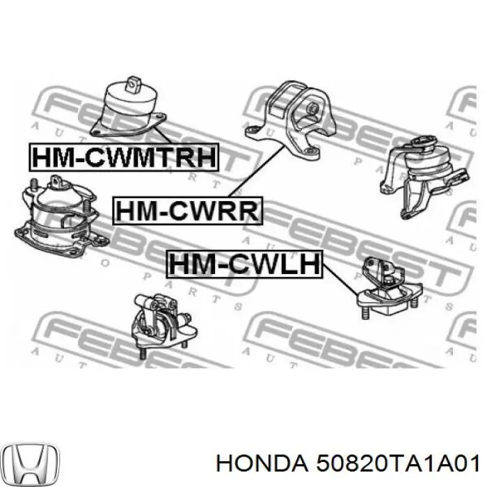 50820TA1A01 Honda Poduszka (podpora) silnika prawa
