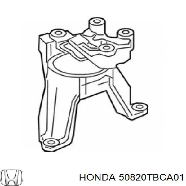 50820TBCA04 Honda Poduszka (podpora) silnika prawa