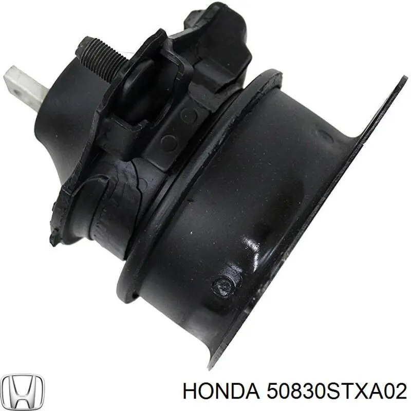 Do koszyka Poduszka (podpora) silnika przednia Acura MDX II YD2