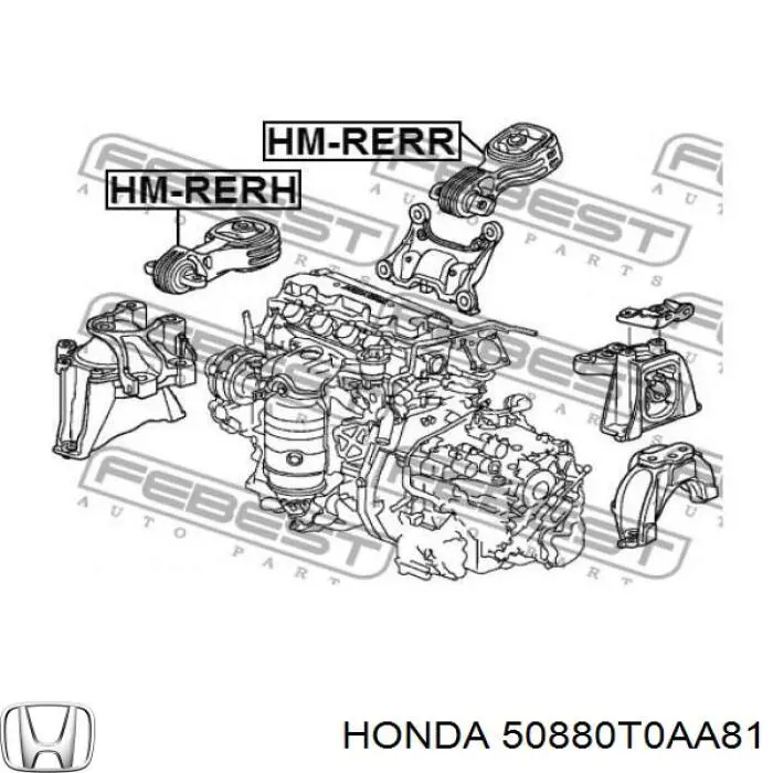 Do koszyka 50880T0AA81 Honda Poduszka (podpora) silnika tylna