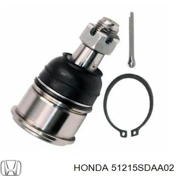 Czop (zwrotnica) przedni lewy Honda 51215SDAA02 cena, od 107,26 USD