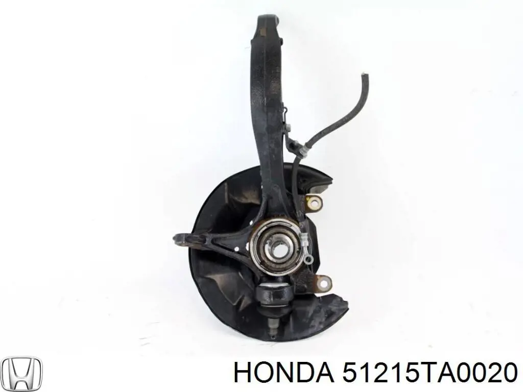 Czop (zwrotnica) przedni lewy Honda 51215TA0020 cena, od 87,80 USD