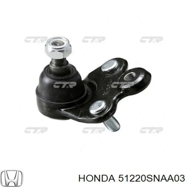 51220SNAA03 Honda Sworzeń wahacza dolny prawy