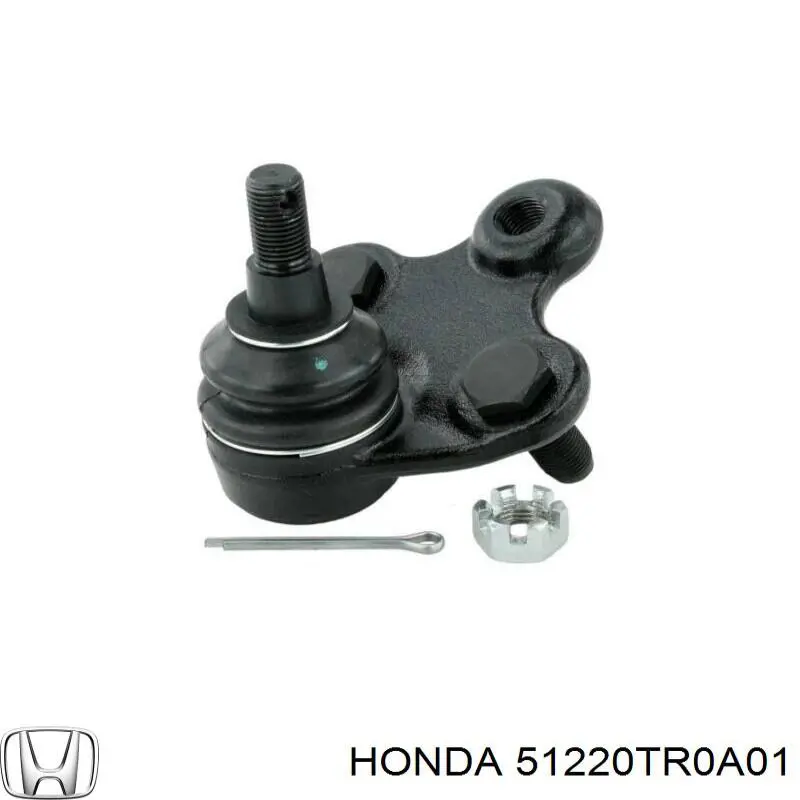 Do koszyka 51220TR0A01 Honda Sworzeń wahacza dolny