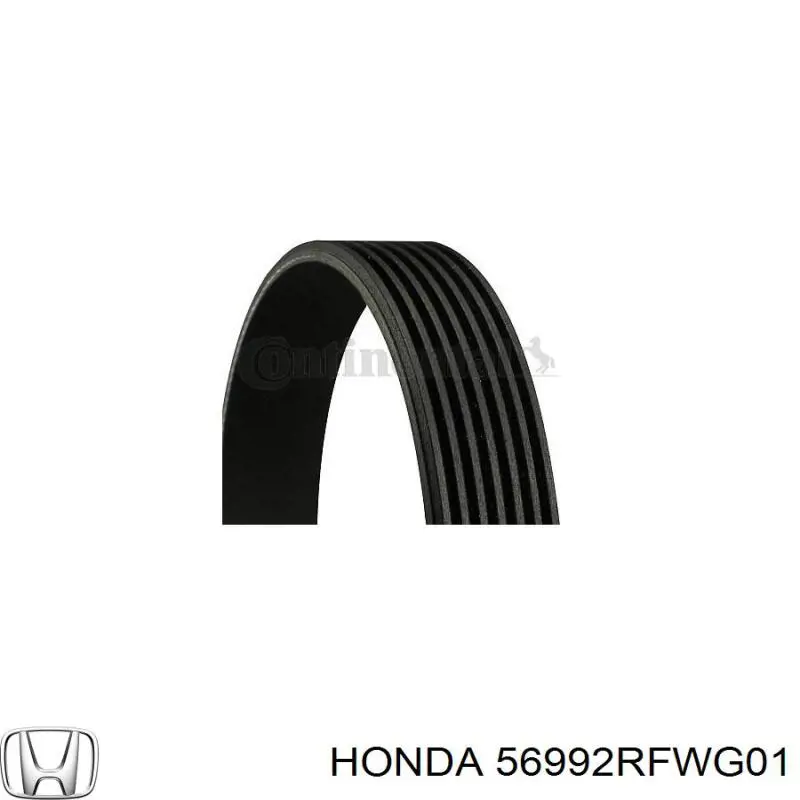 Do koszyka 56992RFWG01 Honda Pas napędowy mechanizmów