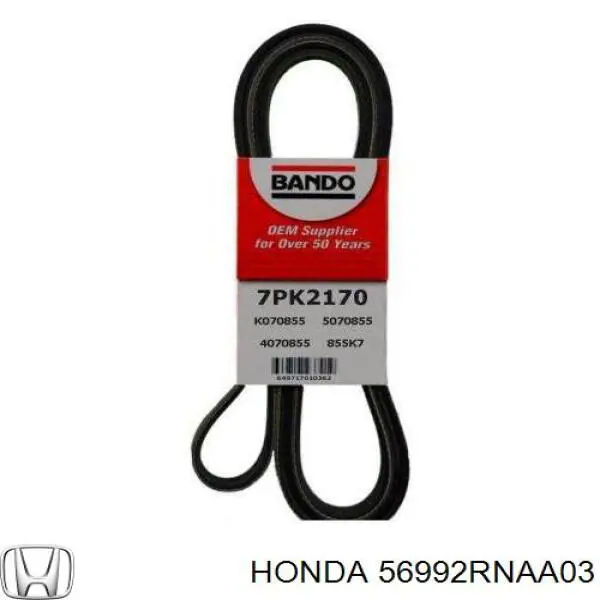 Do koszyka 56992RNAA03 Honda Pas napędowy mechanizmów