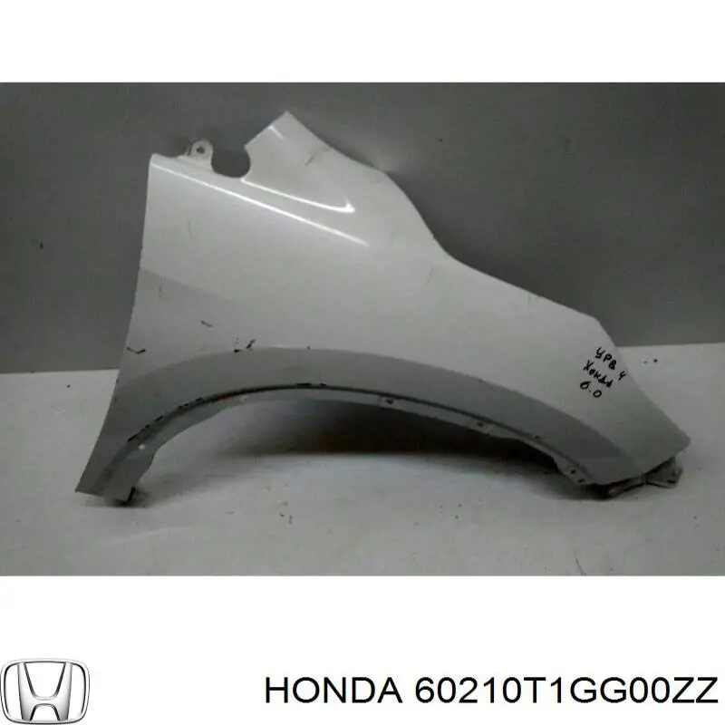 Błotnik przedni prawy 60210T1GG00ZZ Honda