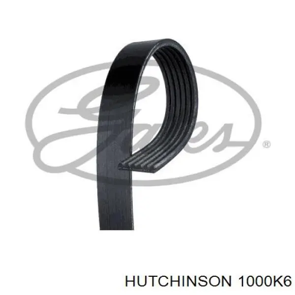 Do koszyka 1000K6 Hutchinson Pas napędowy mechanizmów