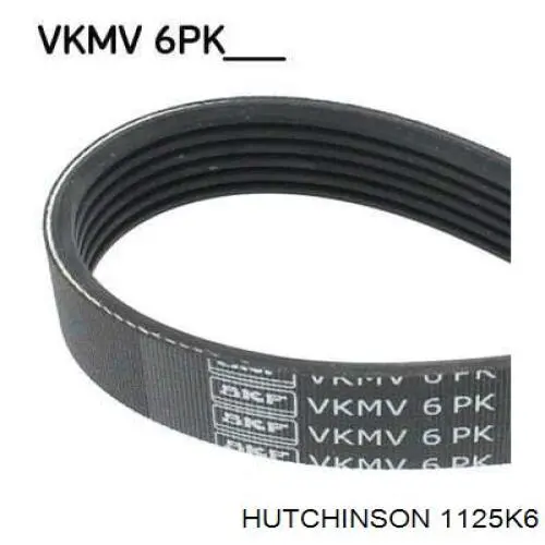 Do koszyka 1125K6 Hutchinson Pas napędowy mechanizmów