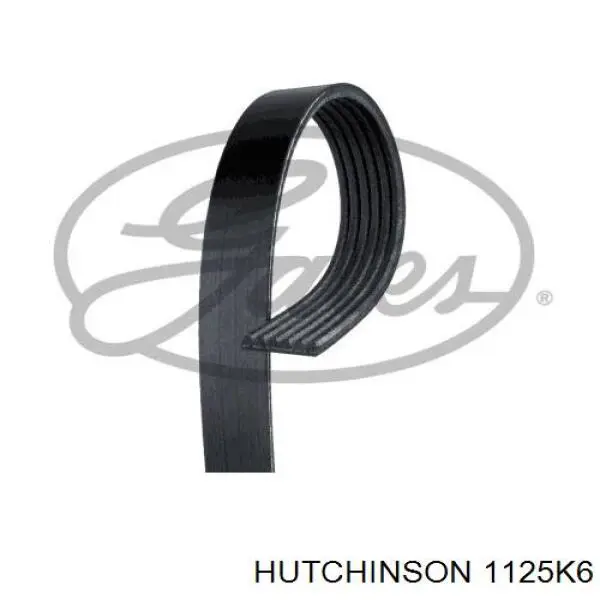 Pas napędowy mechanizmów Hutchinson 1125K6 cena, od 12,28 USD