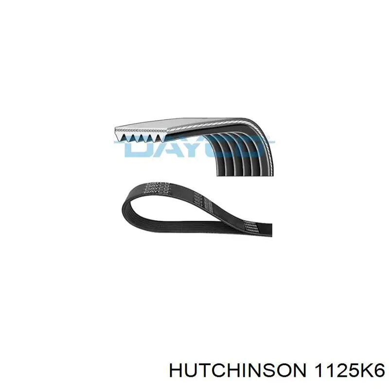 Pas napędowy mechanizmów 1125K6 Hutchinson