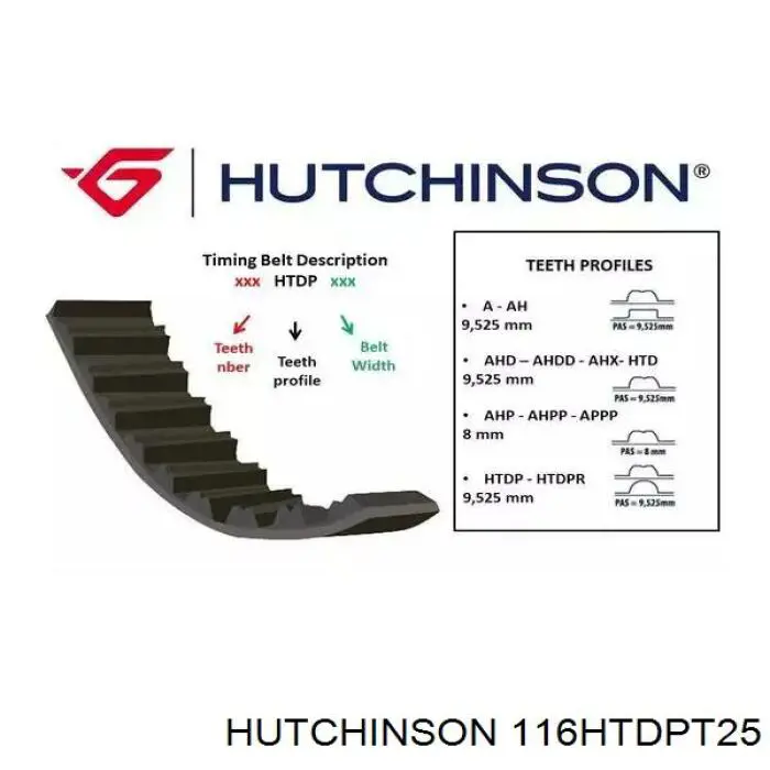 Do koszyka 116HTDPT25 Hutchinson Pasek rozrządu