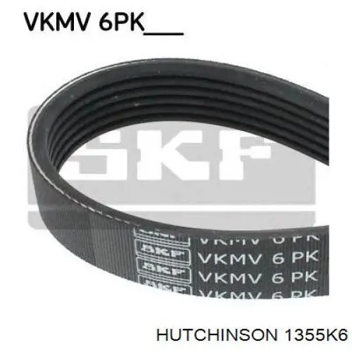 Pas napędowy mechanizmów 1355K6 Hutchinson