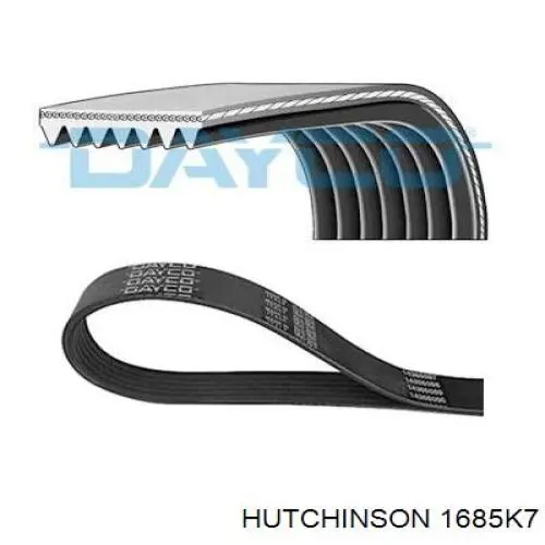 Do koszyka 1685K7 Hutchinson Pas napędowy mechanizmów
