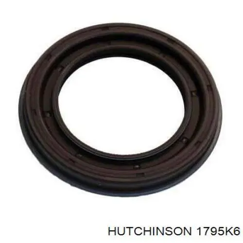 Pas napędowy mechanizmów Hutchinson 1795K6 cena, od 18,74 USD